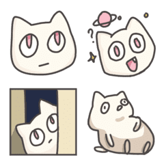 This cat is a conversation killer