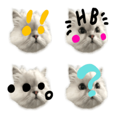 White cat nico emoji