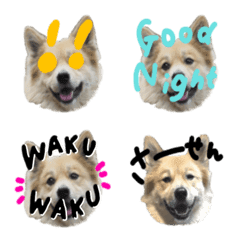 Brown dog mac emoji