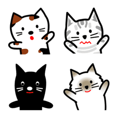 Lots of cute cats