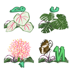 Lucky plants Thai 02 - Happy World Kits