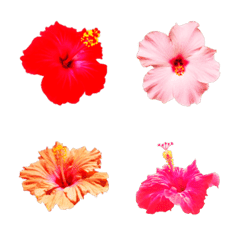 hibiscus flower emoji 2