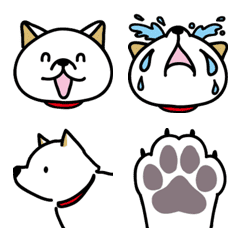 Cute White Shiba Inu emoji