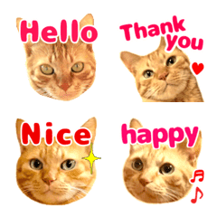 Red tabby cat English emoji