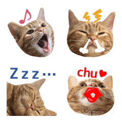Munchkin Mimi's cat emoji