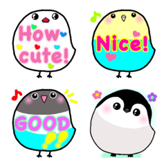 Cute Birds and Animals
