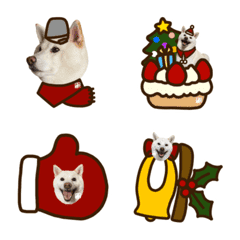 White Shibainu winter Emoji