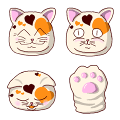 heart-patterned cat