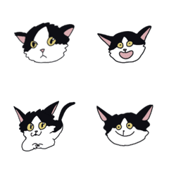 Japanese Cat TOTARO