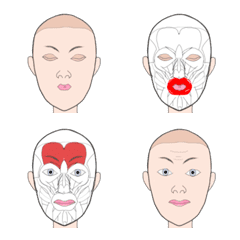 Emoji with Facial Muscles: Single Ver