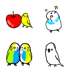 Cutie birds