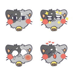 Smelly Face Cat