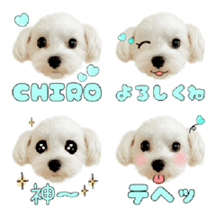 Maltese Chiro Emoji