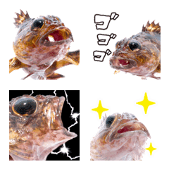蝎子魚搞笑照片的表情符號