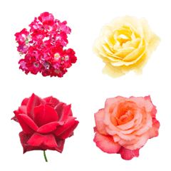 薔薇(バラ)の花の絵文字40個セット　ver.2