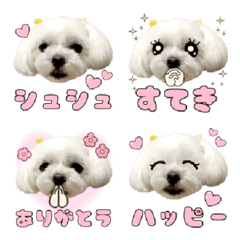 Maltese Shushu Emoji
