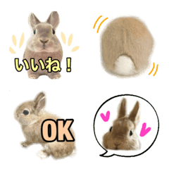 Rabbit H Emoji