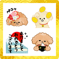 New Year of toy poodles(Move)