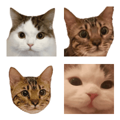 shishichike&moji