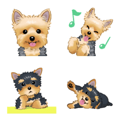 Yorkshire Terrier(dog) – LINE Emoji | LINE STORE