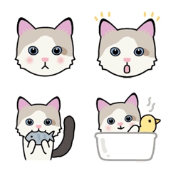 Ragdoll's emoji