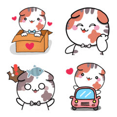 Mika chubby Scottish fold cat Emoji.