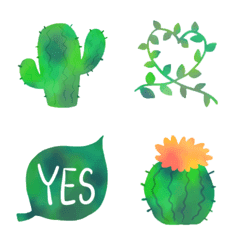 Succulent,cactus,green plants