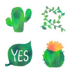 Succulent,cactus,green plants