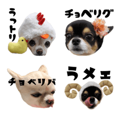 Almost Chihuahua emoji 5
