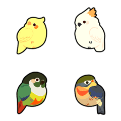 Little Birds 01