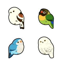Little Birds 02