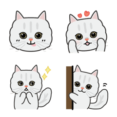 Chinchilla silver's emoji