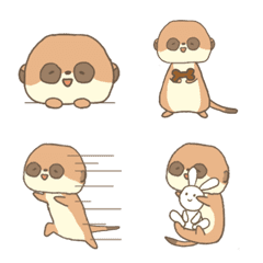 meerkat Chimaki