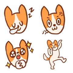 Cute Practical Chihuahua