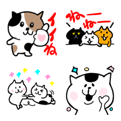 Various cats1