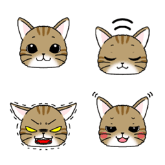 Cute cat emoji  user friendly