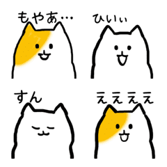 couple cats message