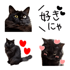 Black cat,daily use emoji