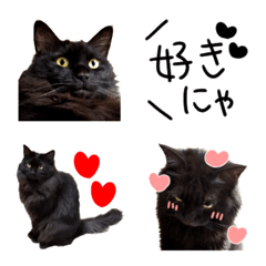 Black cat,daily use emoji