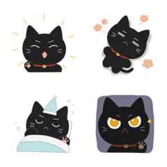 Black kitten pudding