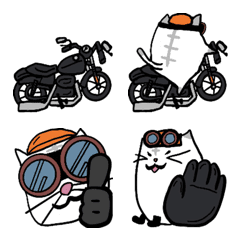 バイク猫