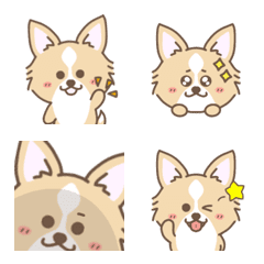 Cute Chihuahua emoji !