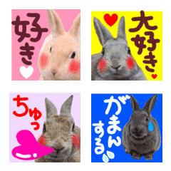 rabbit island love emoji