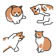 Brown and white cat Emoji
