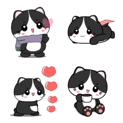 Baby tuxedo cat : Animated emoji