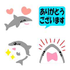 Keigo,shark