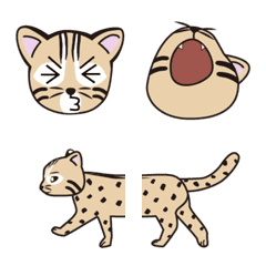 I LOVE Leopard cat-4