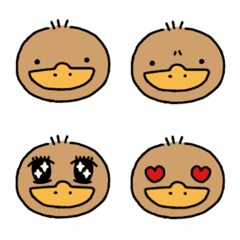 platypus(kamonohashi)