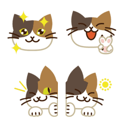 Very Cute Calico Cat