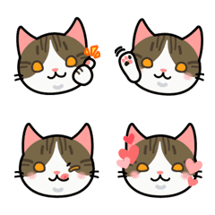 brown tabby and white cat | Emoji